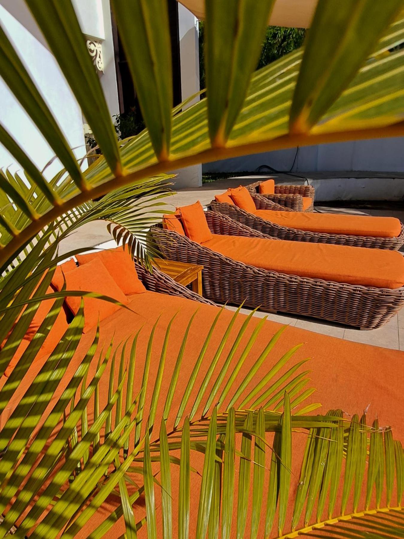 Le Nautile Beachfront سان جيل لي بان المظهر الخارجي الصورة