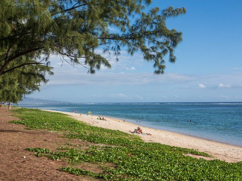 Le Nautile Beachfront سان جيل لي بان المظهر الخارجي الصورة